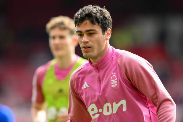 他們都希望 他們都希望