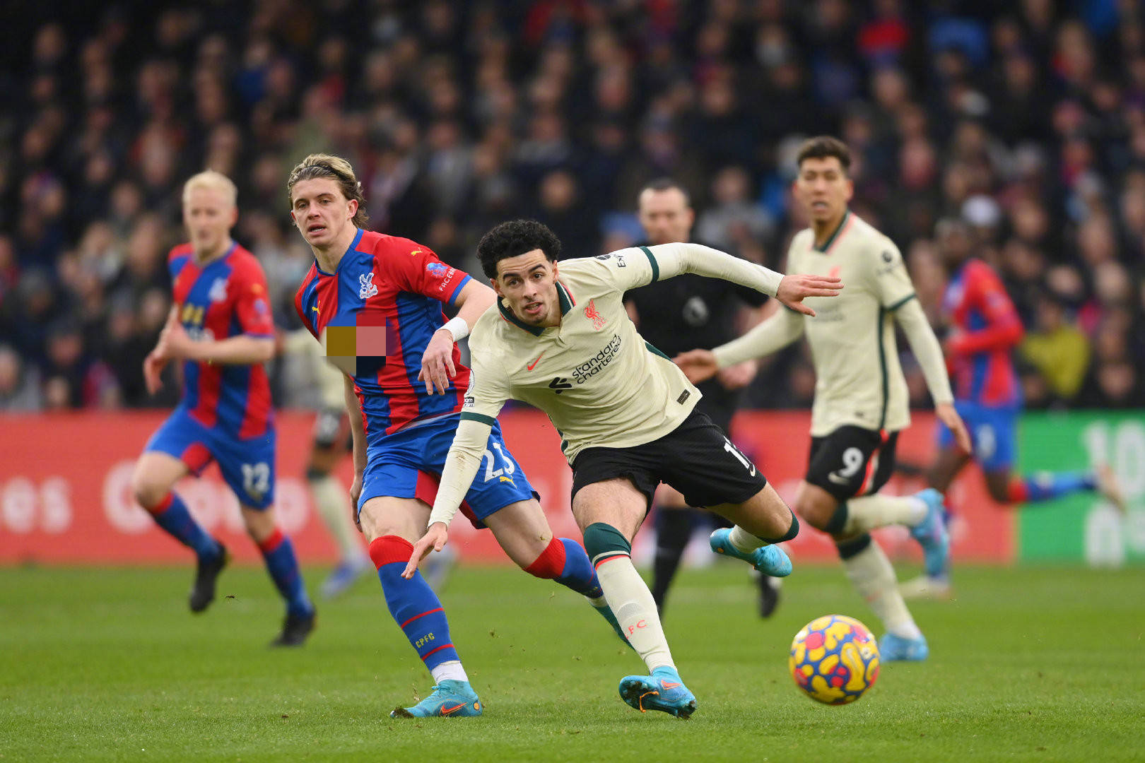 才掩盖了隐 才掩盖了隐